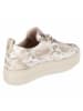 Paul Green Schnürhalbschuh in beige
