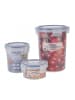 COFI 1453 Frischhaltedose mit Deckel 250ml, luftdicht -40 bis +120°C in Transparent