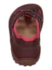 KOEL Sandalen MADISON  in rot