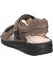Finn Comfort Komfort Sandalen für Herren in braun