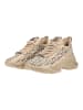 Steve Madden Sneaker MAXOUT in Khaki