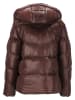 Whistler Steppjacke Lakewood in 4241 Fudge
