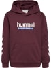 Hummel Kapuzenpullover Hmljr Logo Lebensstil Kinder in VINEYARD WINE