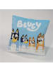 COFI 1453 Bluey Kissen 1-Stück Velboa 35x35 cm mit Tasche Rückseite Kinderkissen in Blau