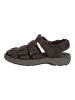 Clarks Sandalen in Dunkelbraun