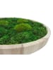 MeinVIPShop Moos Moosbild Wood rund 40cm "handmade"