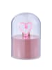 Butlers Neonlicht GLOW BALL Herz in Pink
