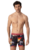 Muchachomalo 12er-Set: Boxershort in Mehrfarbig - für Herren
