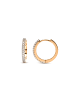 Luxenter Ohrringe Nasgar mit 18 Karat Gelbgold-Finish – NASGAR