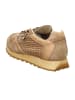 Cetti Sneaker Low in Braun