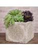 AltoBelli Blumentopf MARONI Beige mit Ornament ECKIG Zement 13x13 cm