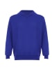 ALEKO Herren Pullover in Blau