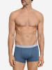 Hanro Panty Cotton Essentials in studio green / retro blue