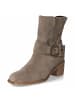 Gabor Stiefeletten in taupe