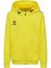 Hummel Reißverschluss Jacke Hmlauthentic Kinder in BLAZING YELLOW