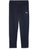 Puma Sporthose "TeamGoal Training Pant Wmn" in Blau