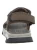 Skechers Sandale in braun