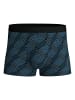 Calida New Boxer in schwarz