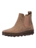 ASPORTUGUESAS Stiefelette CAIA L in Taupe