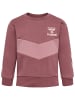 Hummel Hummel Sweatshirt Hmlneel Mädchen in ROSE BROWN