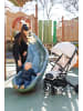 BeBelissimo Kinderwagen, Liegebuggy, Sportwagen,  - 22kg max - Lioni in Grau