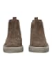 Gabor Stiefelette in Braun/Grau