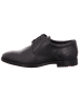 LLOYD Business Schuhe für Herren in schwarz