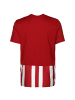 adidas Performance Fußballtrikot Striped 21 in rot / weiß