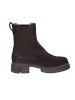 Apple of Eden Stiefeletten  Bis in braun