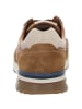 Camel Active Sneaker Low in braun