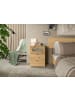 ebuy24 Nachttisch Xeno Eiche 45 x 40 cm