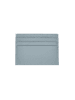 Usha Women Wallet in Light Blue