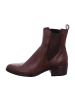 MJUS Chelsea Boots in Braun