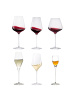 Stölzle 36er Set Wein- und Sektgläser Quatrophil transparent in transparent