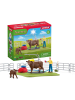 Schleich Spielset Kuh Waschstation 42529