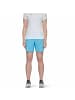Mammut Softshell-Shorts Aenergy Light in Kristallblau