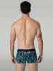 Muchachomalo 3er-Set: Boxershort in Mehrfarbig - für Herren