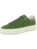 ara Sneaker low CANBERRA in gruen