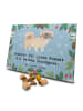 Mr. & Mrs. Panda Hund Adventskalender Pekingese Moment mit Spruch in Eisblau