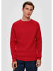 s.Oliver Strickpullover in 3162_chilirot