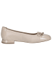 Caprice Ballerina in CREAM PEARL CO