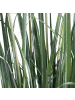 Beliani Kunstpflanze BULRUSH in Grün/Braun - (W) 30 x (H) 135 x (L) 30 cm