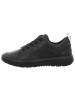 Ara Shoes Schnürschuhe ROMA in schwarz