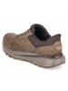 Skechers Schnürhalbschuh in brown