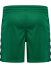 Hummel Hummel Kurze Hose Playful Shorts Lebensstil Kinder in EVERGREEN