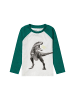Minoti Longsleeves 11TRAGLN 4 in grün
