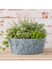 AltoBelli Blumentopf FIORI BLU Steingut Antik Blau Glasiert Oval 25x15 cm