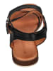 Apple of Eden Sandalen IRINA 1  in schwarz