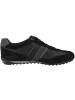 Geox Sneaker low U Wells C in schwarz