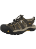 Keen Sandale Newport H2 in dunkelgrau